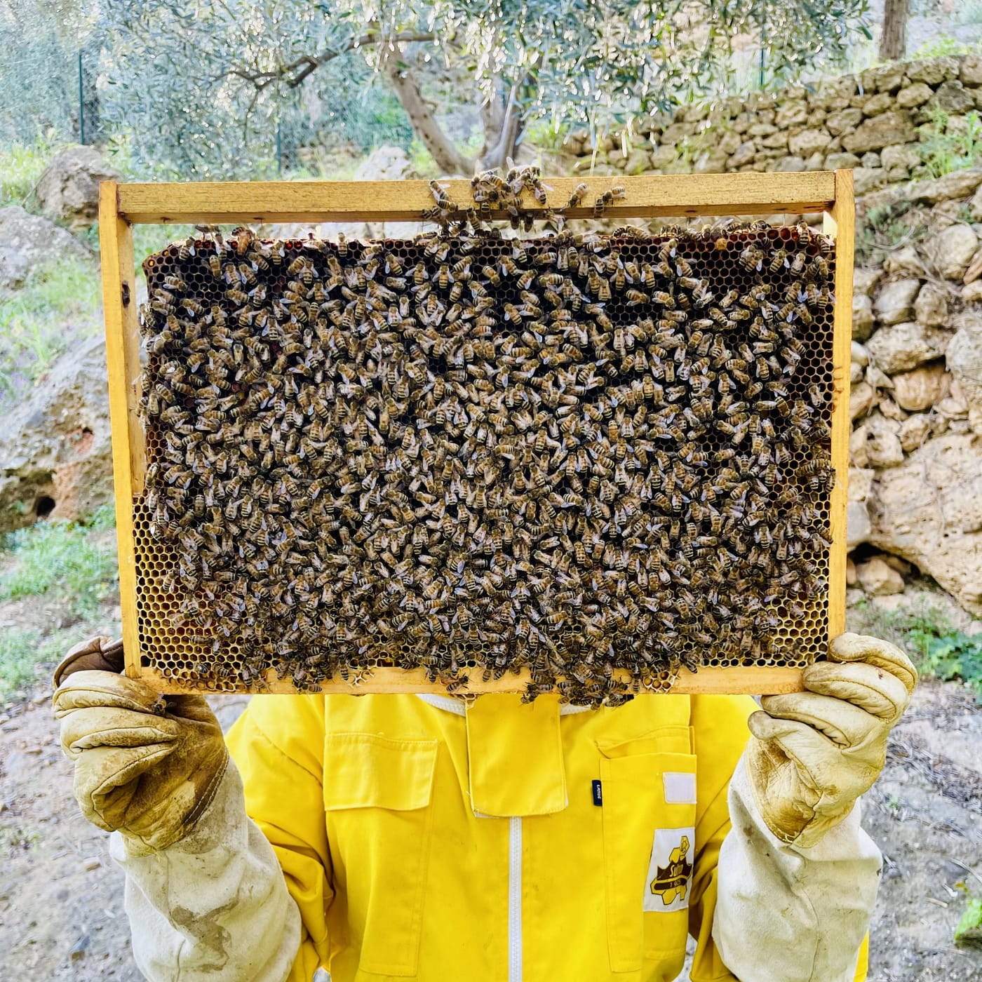 Le apicoltrici del Villaggio delle Api al lavoro sulle arnie